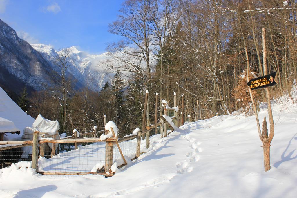 Kraljev Hrib *