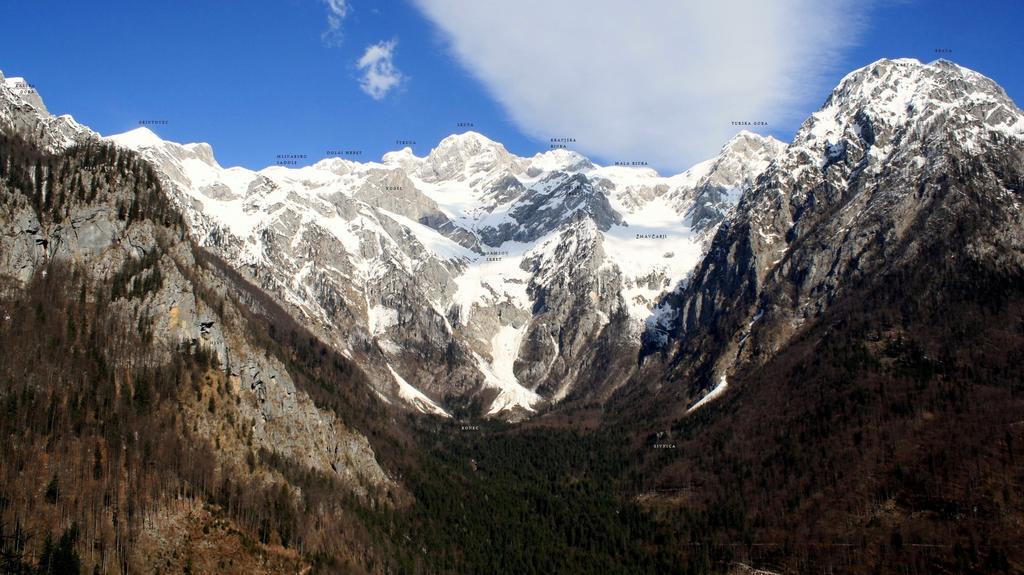 Kraljev Hrib